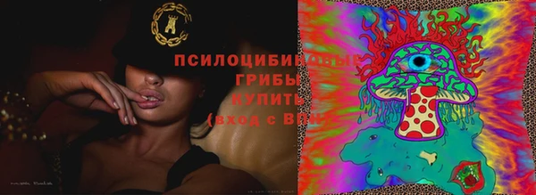 таблы Белокуриха