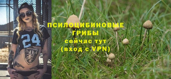 стаф Беломорск
