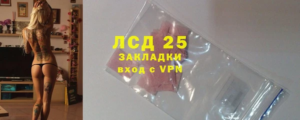 стаф Беломорск