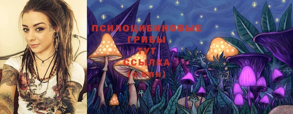 стаф Беломорск