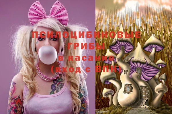 Альфа ПВП Осинники
