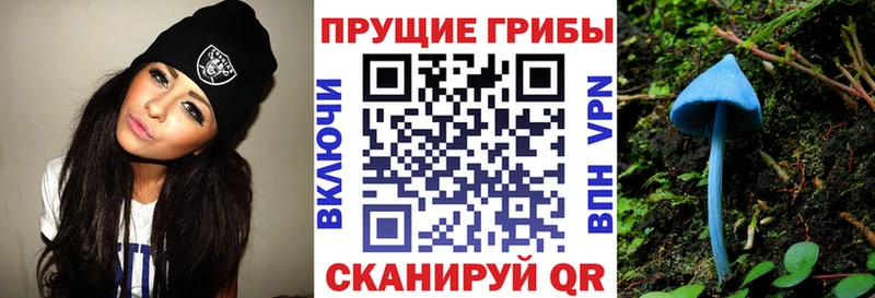 Псилоцибиновые грибы Magic Shrooms  Славгород 