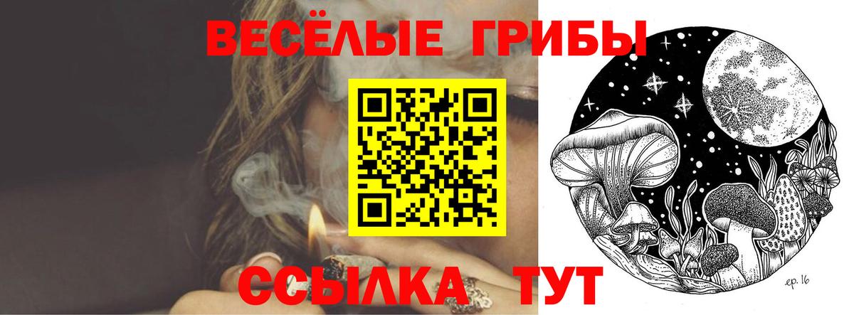 Славгород  Псилоцибиновые грибы мицелий  Вход с VPN 